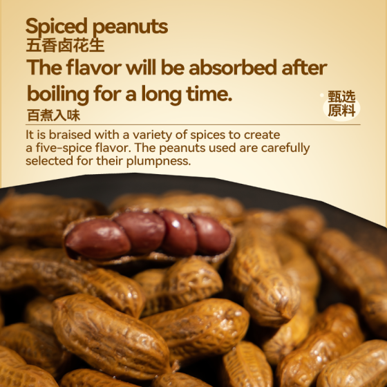 Yongxin - Spiced Braised Peanuts 500g