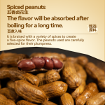 Yongxin - Spiced Braised Peanuts 500g